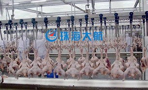 重量分揀設(shè)備如何實(shí)現(xiàn)整雞分選？