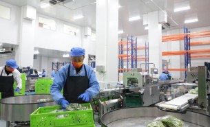蔬菜配重機(jī)：解決人工成本與效率問題，助力蔬菜加工發(fā)展